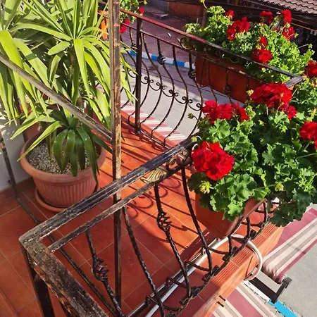 Apartment Casa Dfg *