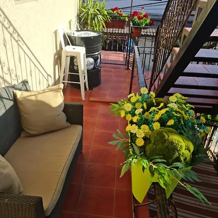 Casa Dfg Apartment Costinesti